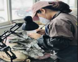 There is also a restoration laboratory where the researchers are busy repairing the dinosaur fossils. You can see the entire process through the glass